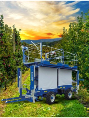 AUTO MOTRIZ - 4 RM EVOLUTION